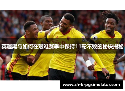 英超黑马如何在艰难赛季中保持11轮不败的秘诀揭秘 英超黑马如何在艰难赛季中保持11轮不败的秘诀揭秘