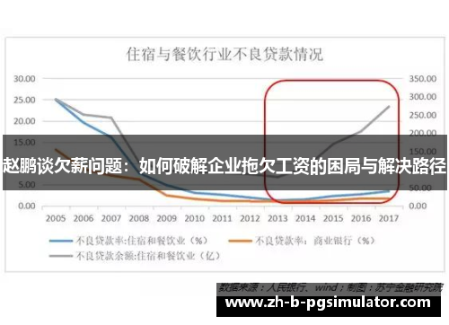 赵鹏谈欠薪问题：如何破解企业拖欠工资的困局与解决路径